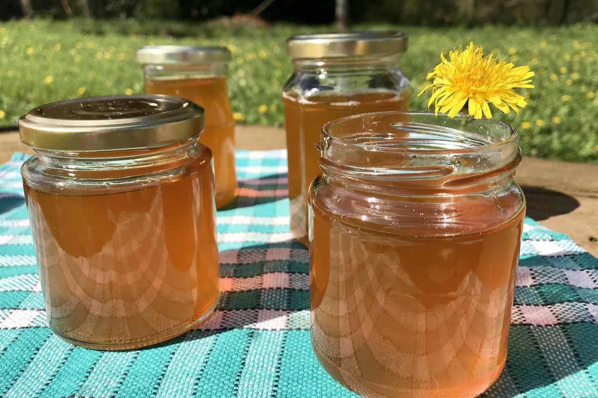 Gelée de fleurs de pissenlits au gingembre