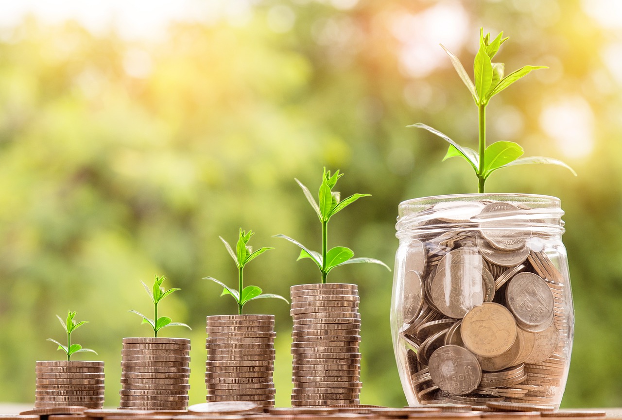 Bachelor gestion et finance